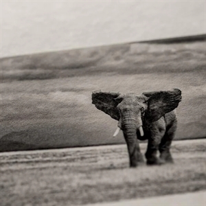 Awagami Bizan Medium ( deckled edges ) - 200 g/m², A1 5 ark